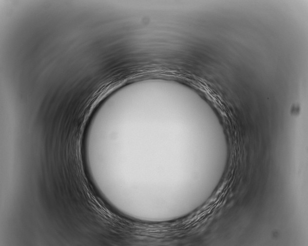 X0000098080146200804040759