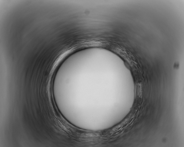 X0000098080147200804040759