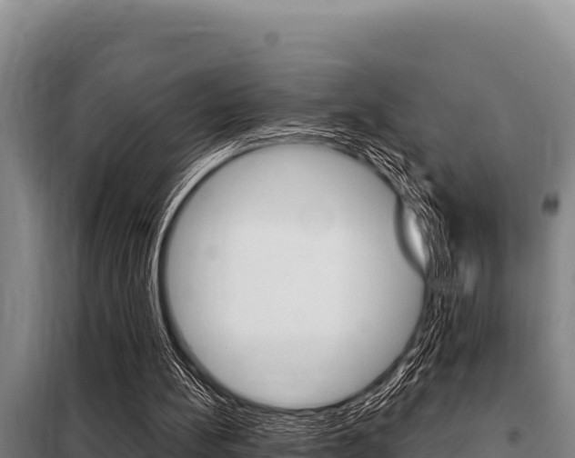 X0000098080148200804040759
