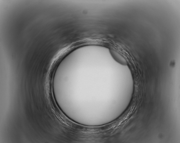 X0000098080149200804040759
