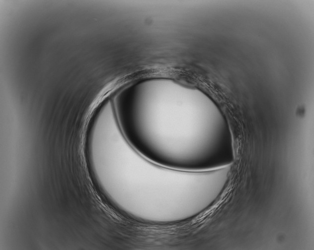 X0000098080150200804040759