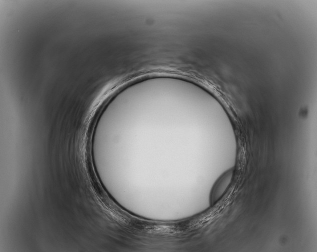 X0000098080151200804040759