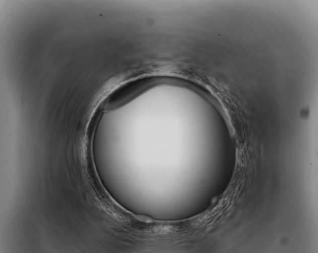 X0000098080152200804040759