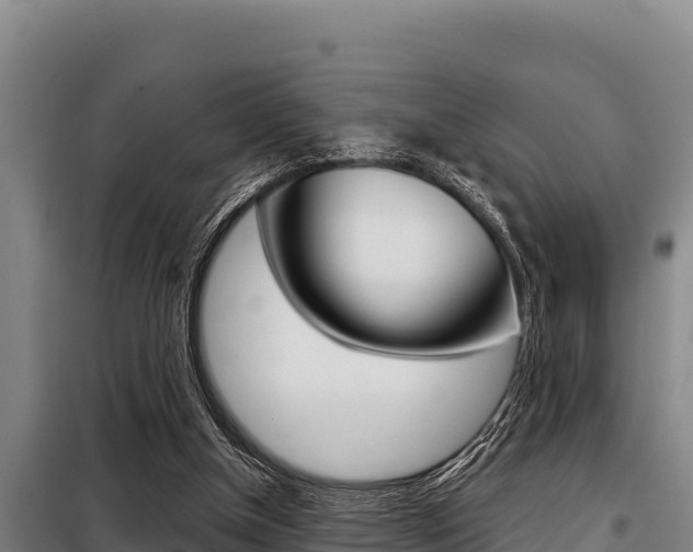 X0000098080154200804040759