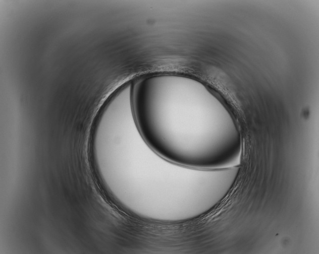 X0000098080156200804040759