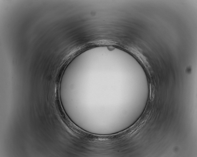 X0000098080157200804040759