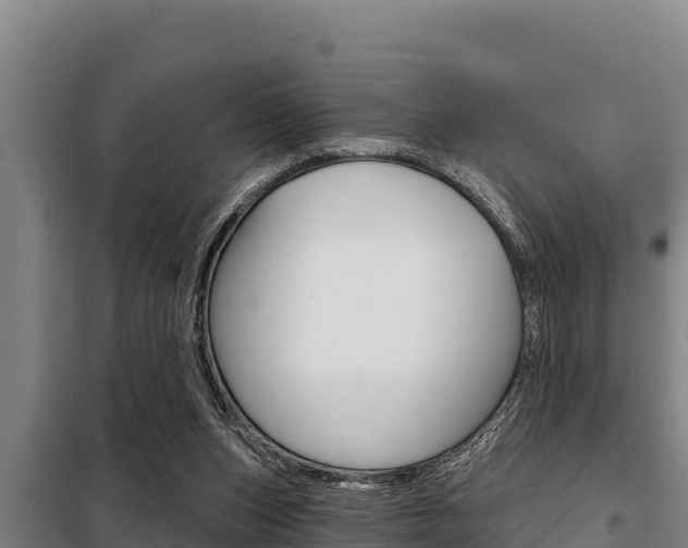 X0000098080159200804040759