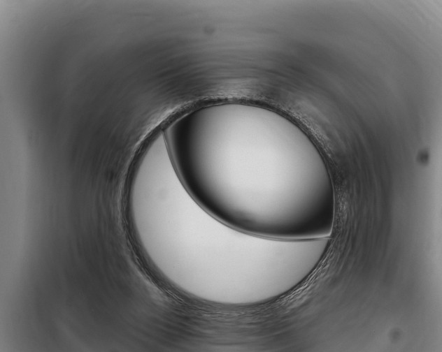 X0000098080160200804040759