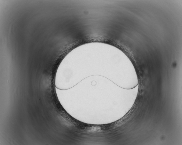 X0000098080162200804040759