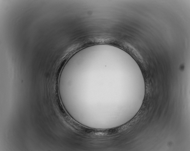 X0000098080163200804040759