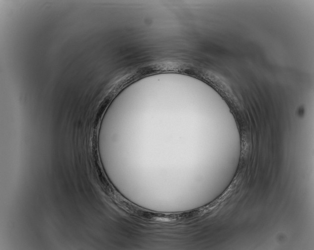 X0000098080167200804040759