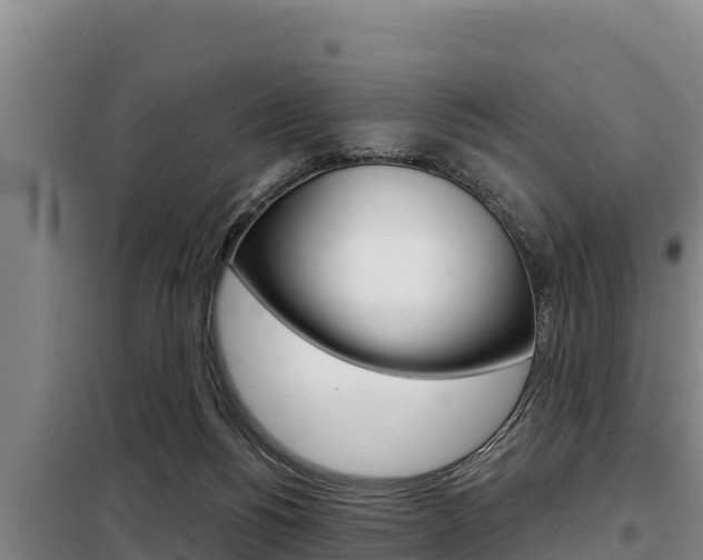 X0000098080168200804040800