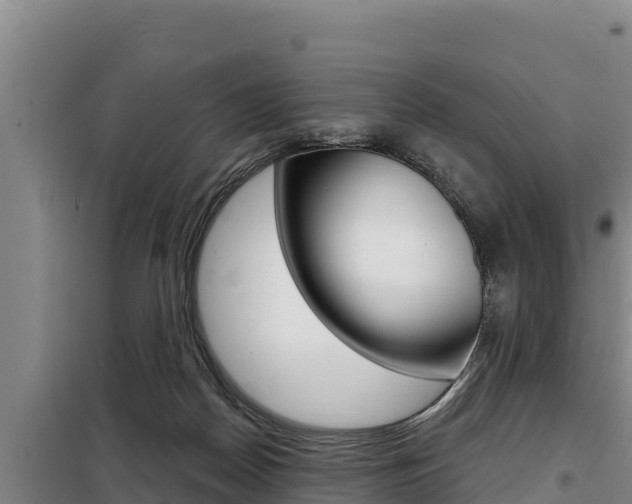 X0000098080170200804040800