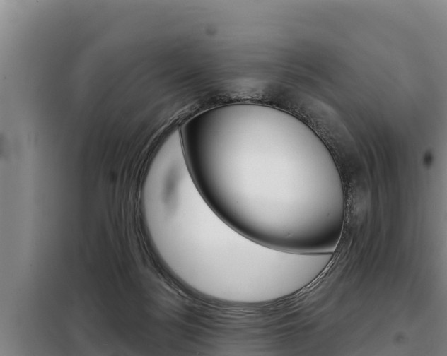 X0000098080172200804040800
