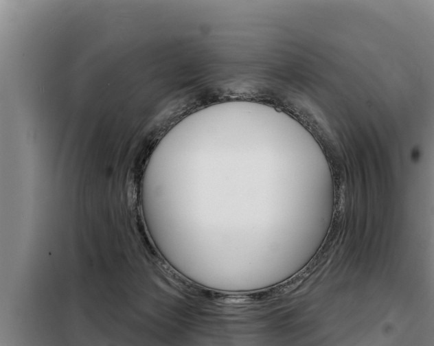 X0000098080173200804040800