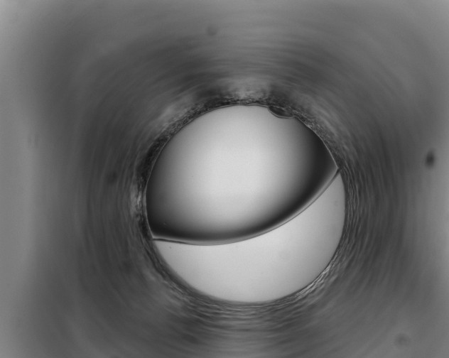 X0000098080176200804040800