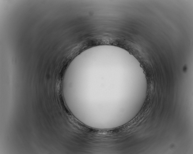 X0000098080177200804040800