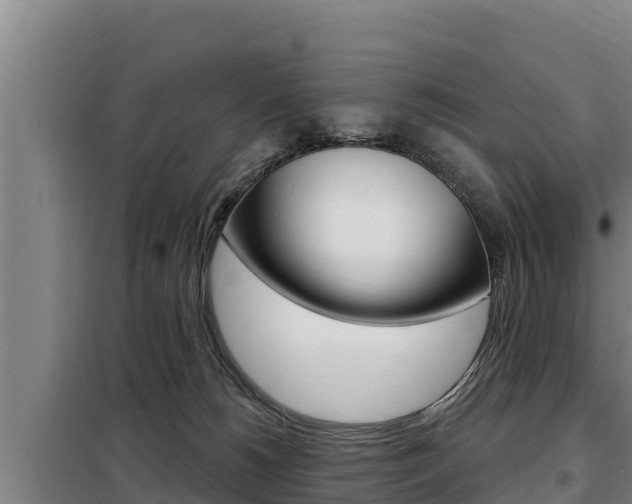 X0000098080180200804040800