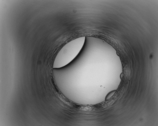 X0000098080181200804040800
