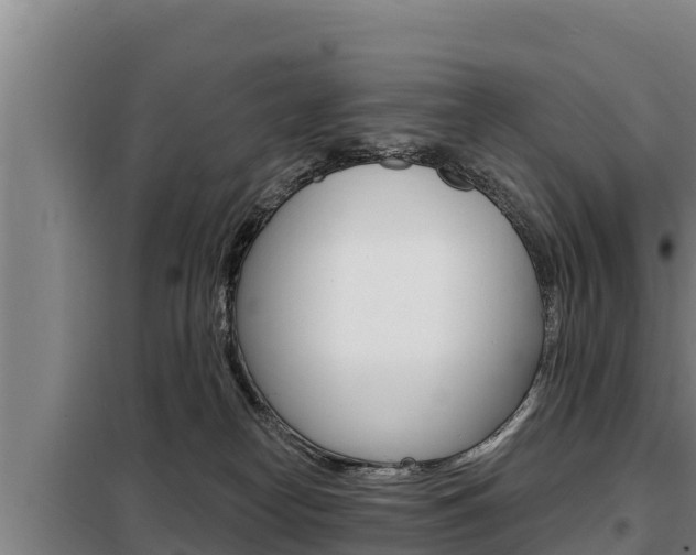 X0000098080182200804040800