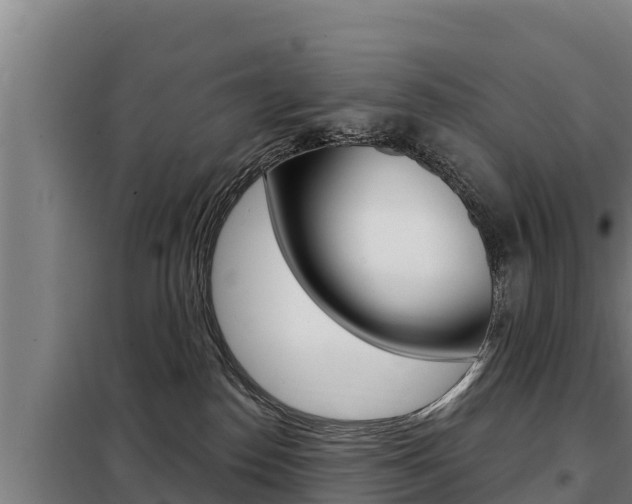 X0000098080186200804040800