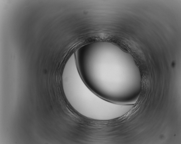 X0000098080188200804040800