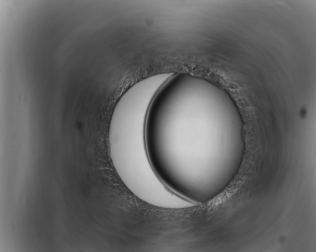 X0000098080192200804040800