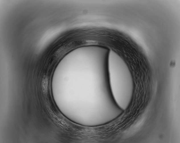 X0000098080194200804040759