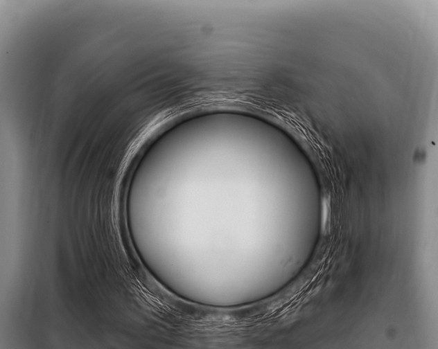 X0000098080195200804040759
