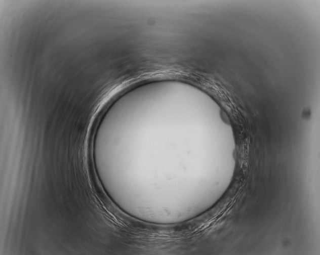 X0000098080196200804040759