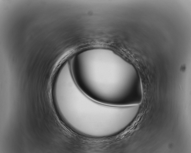 X0000098080197200804040759