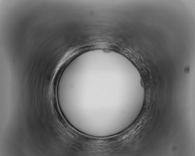 X0000098080198200804040759