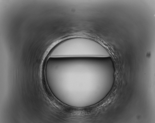 X0000098080200200804040759