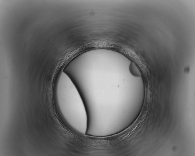 X0000098080202200804040759
