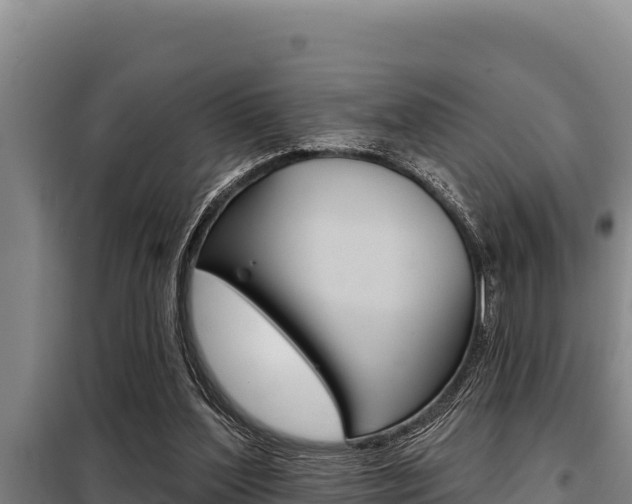 X0000098080204200804040759