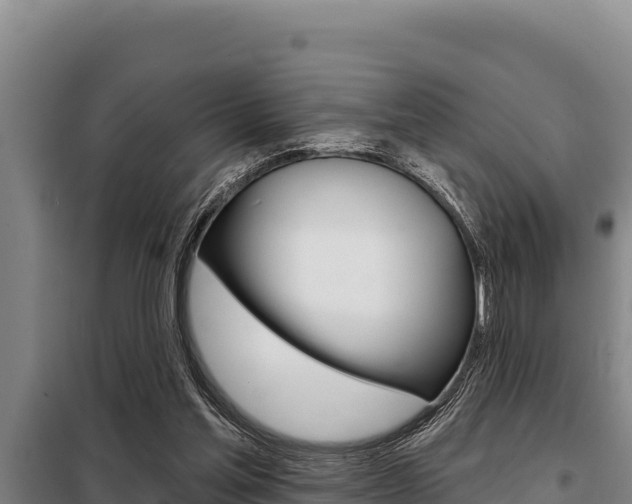 X0000098080205200804040759