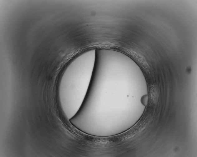 X0000098080206200804040759
