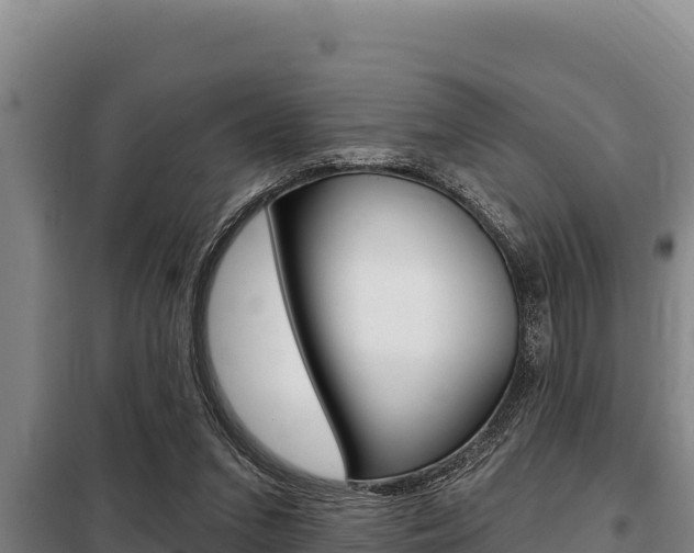 X0000098080207200804040759