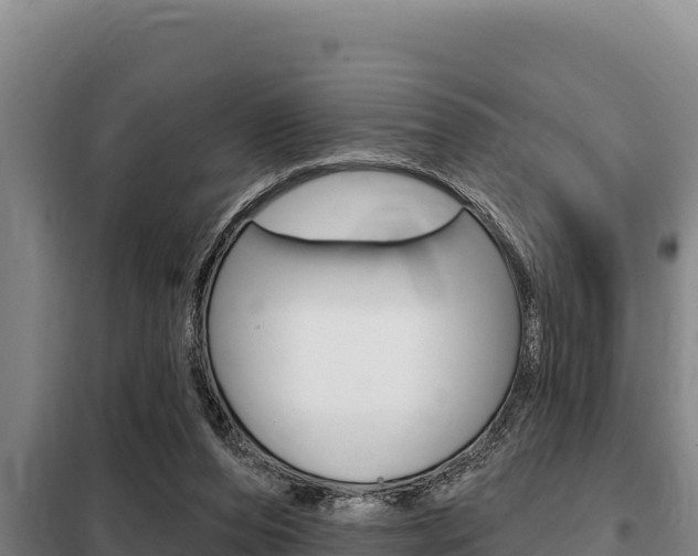 X0000098080208200804040759