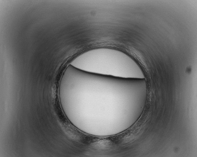 X0000098080210200804040759