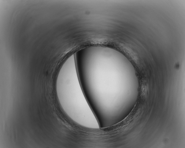 X0000098080211200804040759
