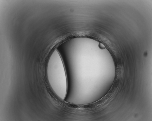 X0000098080212200804040759