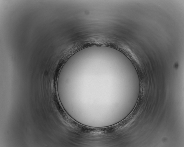 X0000098080213200804040759