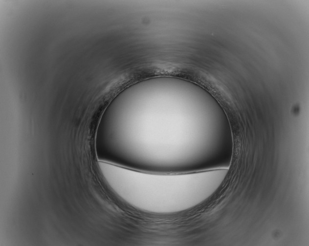 X0000098080215200804040759
