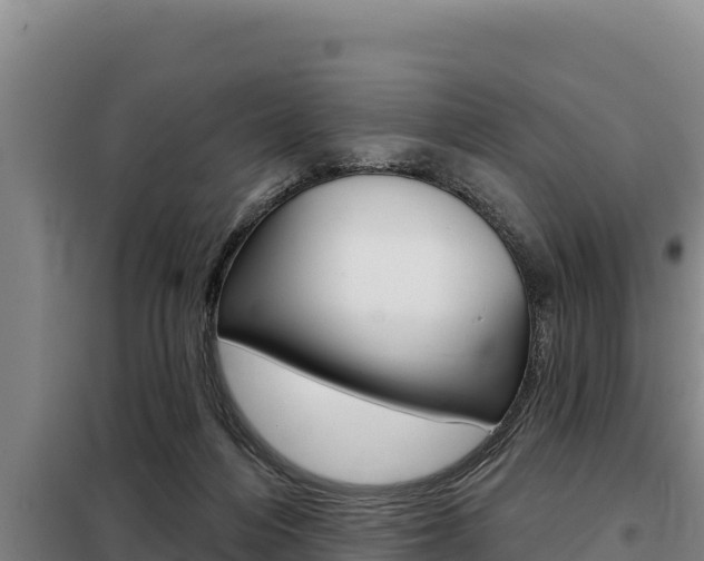 X0000098080216200804040759