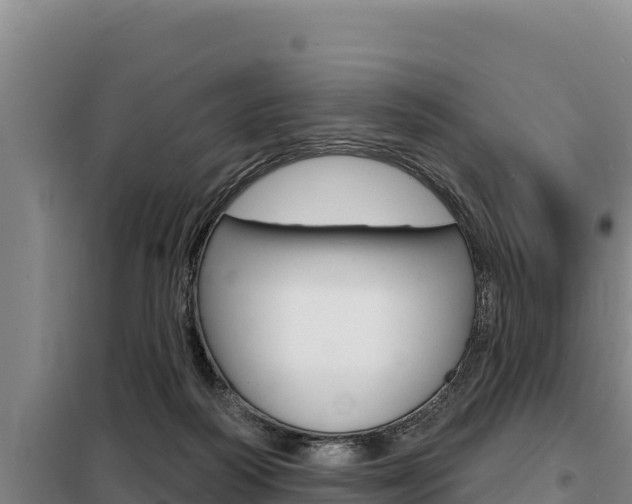 X0000098080218200804040759
