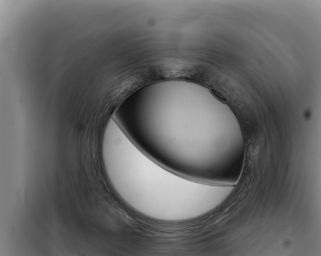 X0000098080219200804040759