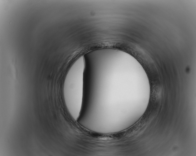 X0000098080220200804040759