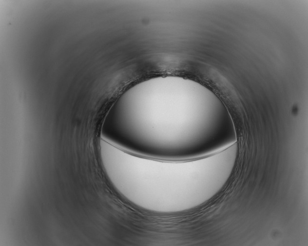 X0000098080221200804040759