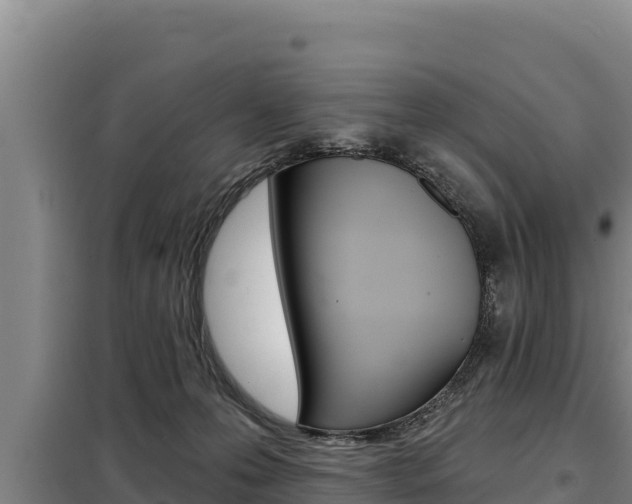 X0000098080223200804040759